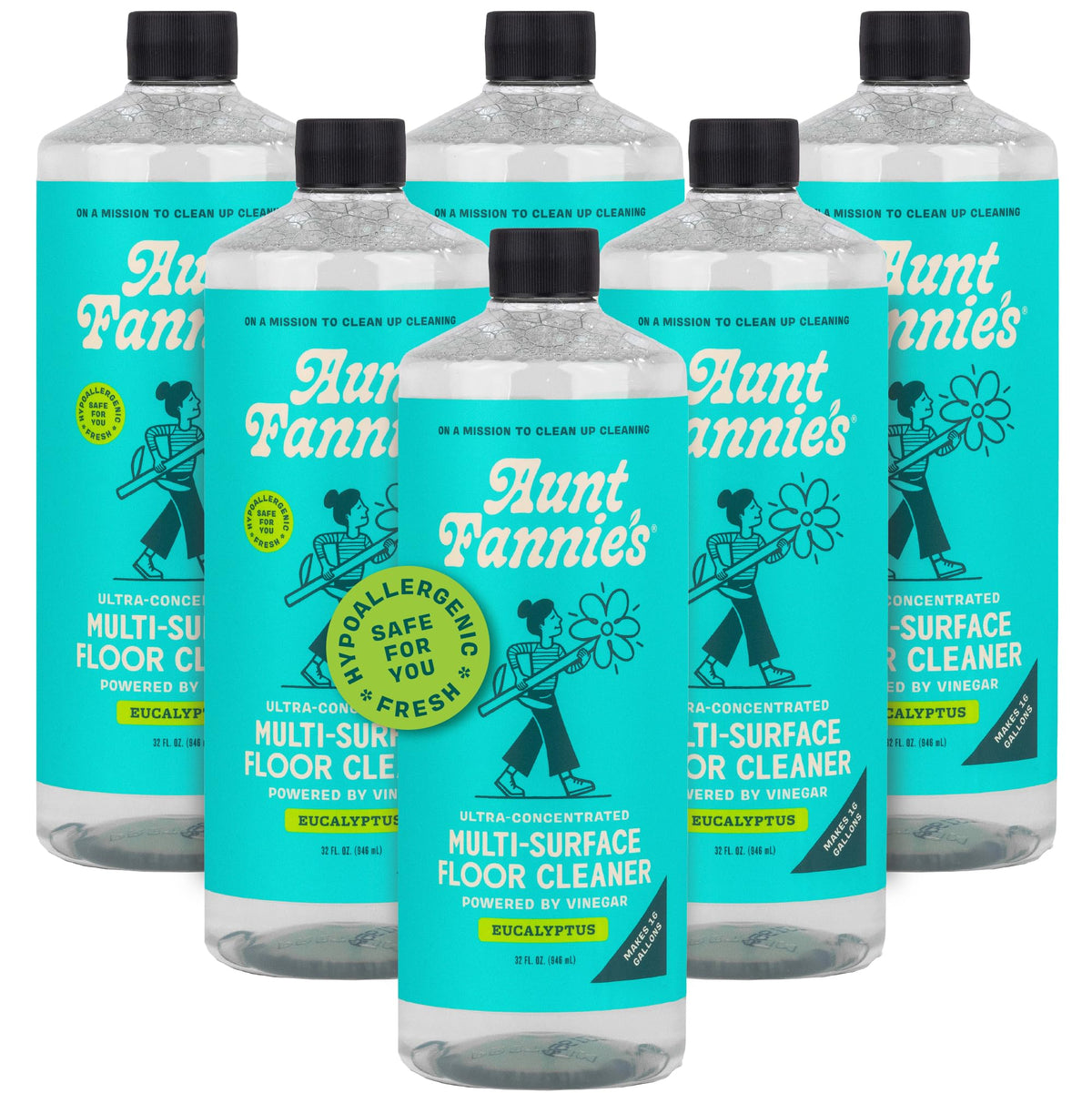 Aunt Fannie's Whole Home Cleaning Bundle, Multi-Surface, 5 Pieces