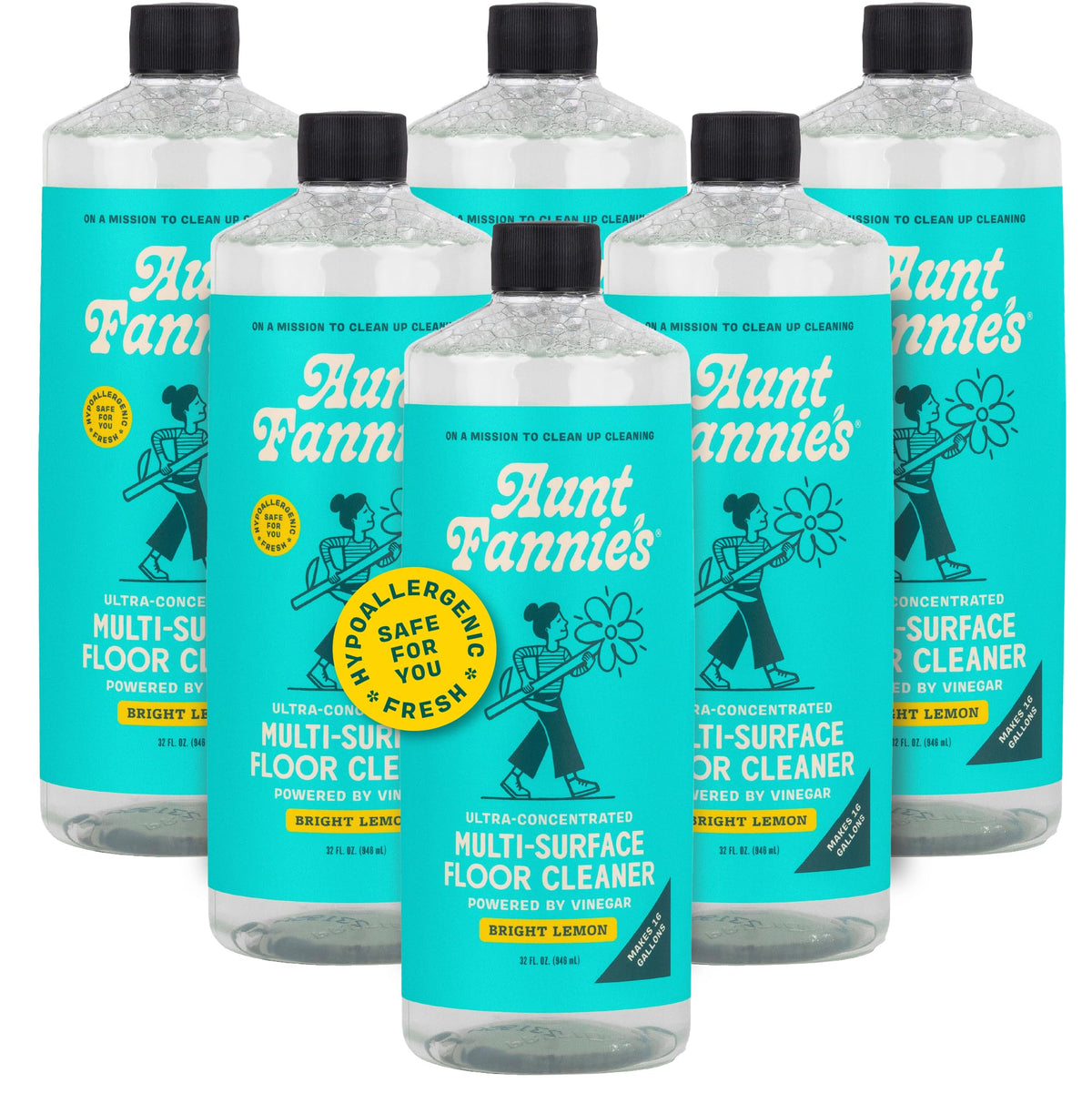 Aunt Fannie's Whole Home Cleaning Bundle, Multi-Surface, 5 Pieces